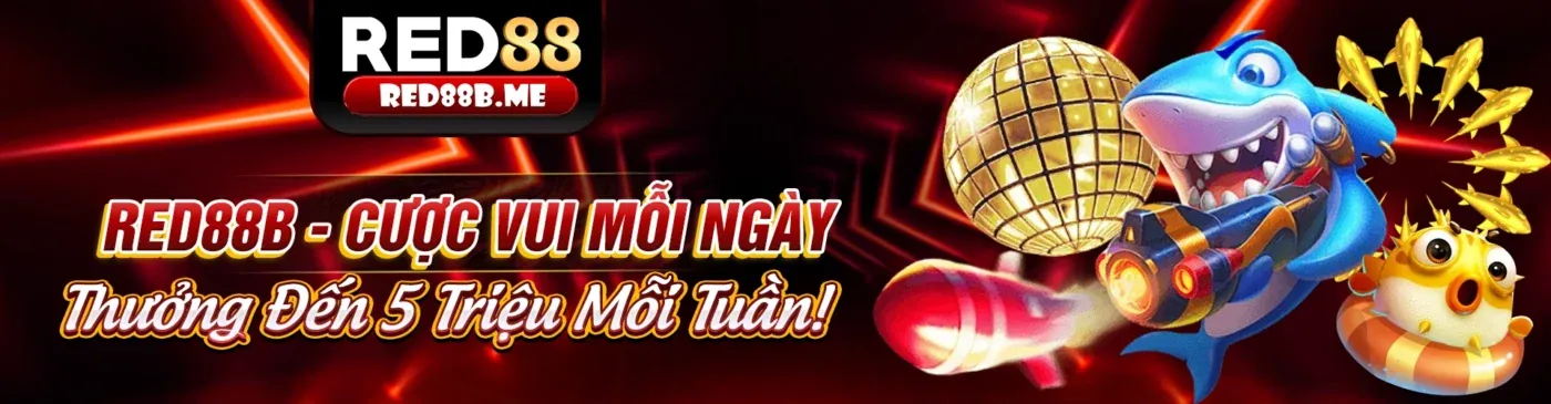 dbet12 nhà cái - Hướng dẫn cho người mới
